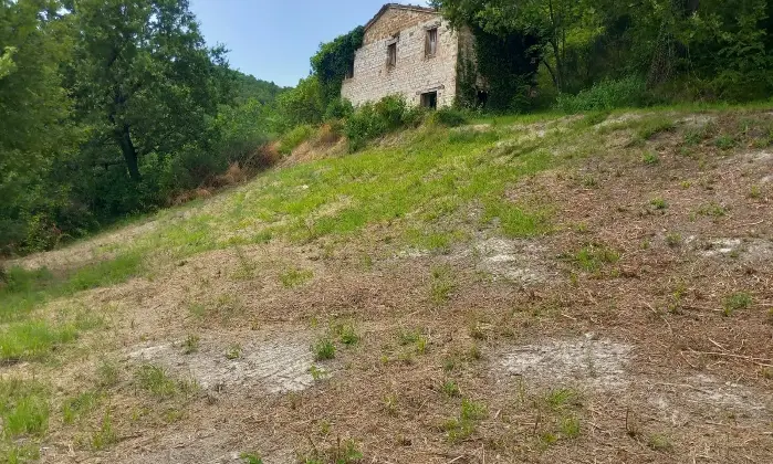 Rexer-Arcevia-CASALE-IN-PIETRA-A-VISTA-CON-TERRENO-Terrazzo