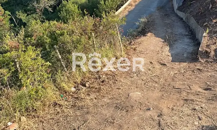 Rexer-Bonifati-VILLA-singola-panoramica-IN-FASE-DI-RISTRUTTURAZIONE-in-vendita-allo-stato-di-RUSTICO-AVANZATO-Altro
