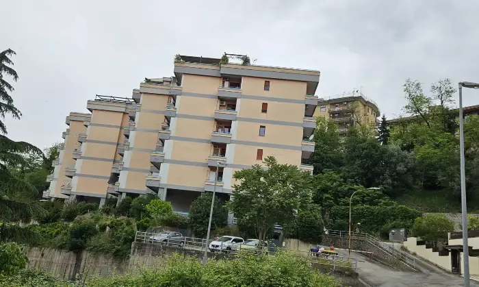 Rexer-Frosinone-FROSINONE-VIA-PETRARCA-Altro