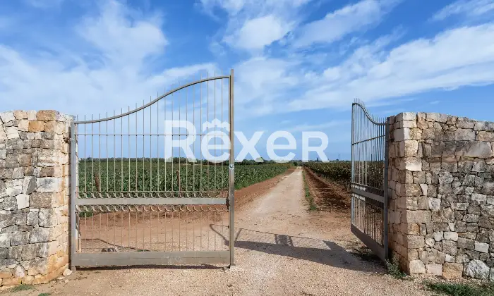 Rexer-Carovigno-Masseria-con-corte-interna-ed-esterna-e-piscina-Altro