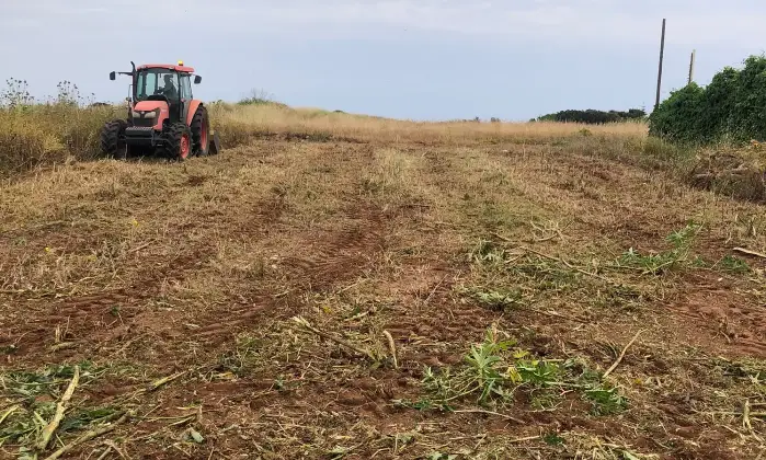 Rexer-Scoglitti-Vendesi-attivit-commerciale-a-pochi-passi-dal-mare-SP-Ragusa-Italia-Altro