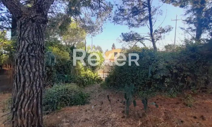 Rexer-Pedara-PEDARA-CASA-INDIPENDENTE-Altro