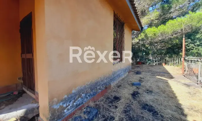 Rexer-Pedara-PEDARA-CASA-INDIPENDENTE-Altro