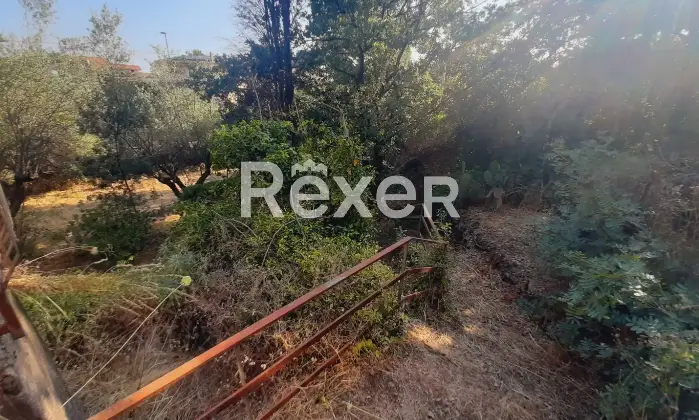 Rexer-Pedara-PEDARA-CASA-INDIPENDENTE-Altro