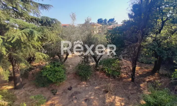 Rexer-Pedara-PEDARA-CASA-INDIPENDENTE-Altro