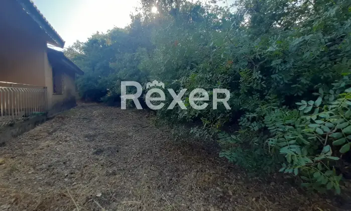 Rexer-Pedara-PEDARA-CASA-INDIPENDENTE-Altro