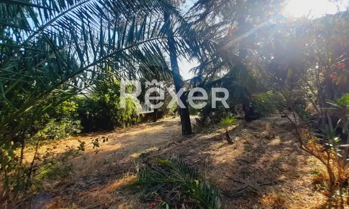 Rexer-Pedara-PEDARA-CASA-INDIPENDENTE-Altro