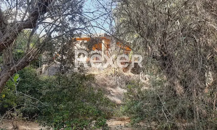 Rexer-Pedara-PEDARA-CASA-INDIPENDENTE-Altro
