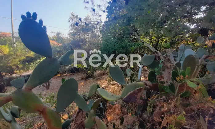 Rexer-Pedara-PEDARA-CASA-INDIPENDENTE-Altro