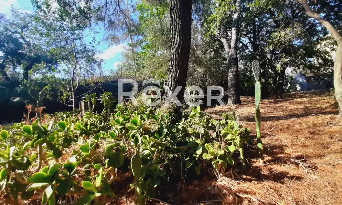 Rexer-Pedara-PEDARA-CASA-INDIPENDENTE-Altro