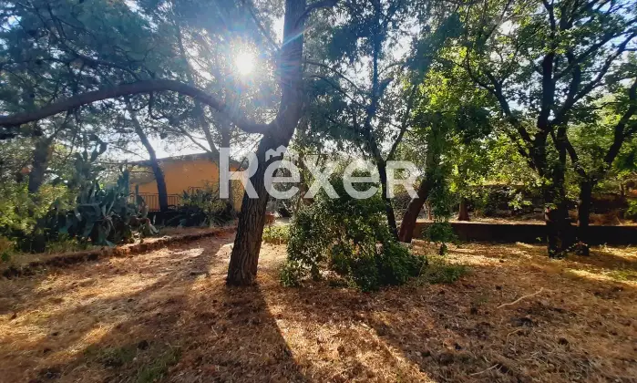 Rexer-Pedara-PEDARA-CASA-INDIPENDENTE-Altro