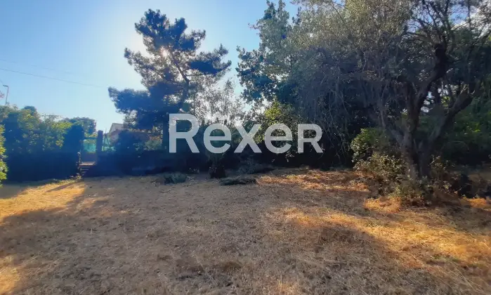 Rexer-Pedara-PEDARA-CASA-INDIPENDENTE-Altro