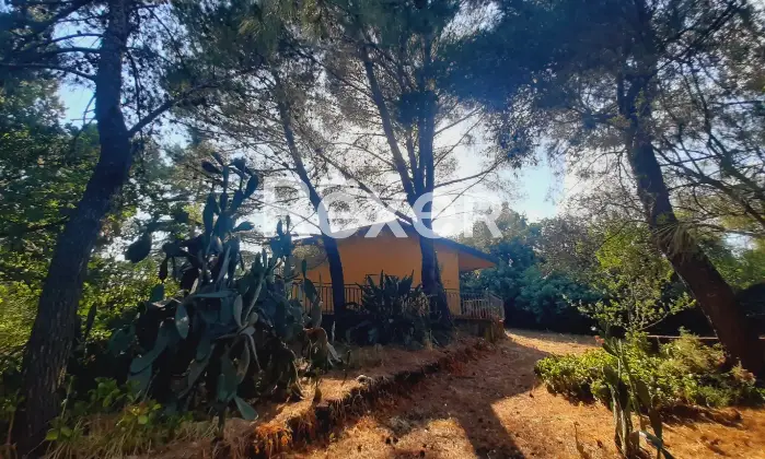 Rexer-Pedara-PEDARA-CASA-INDIPENDENTE-Altro