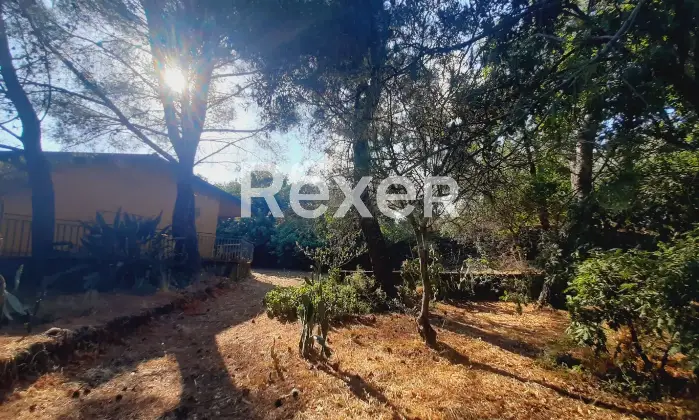 Rexer-Pedara-PEDARA-CASA-INDIPENDENTE-Altro