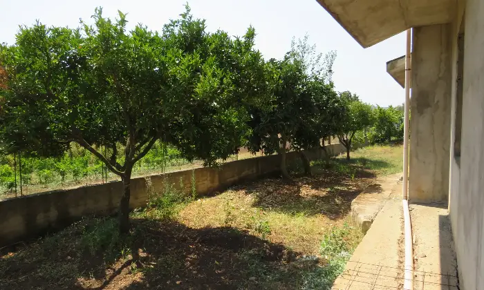 Rexer-Cessaniti-Villa-da-sogno-in-collina-Frazione-SAN-MARCO-VV-Giardino