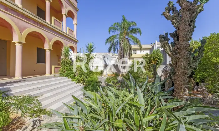 Rexer-Gagliano-del-Capo-A-pochi-minuti-dal-mare-villa-indipendente-allo-stato-di-grezzo-avanzato-da-completare-con-giardino-e-ampi-garage-Giardino