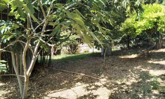 Rexer-Riva-del-Po-Villa-indipendente-antisismica-con-ampio-giardino-in-posizione-tranquilla-Accesso-disabili-Altro