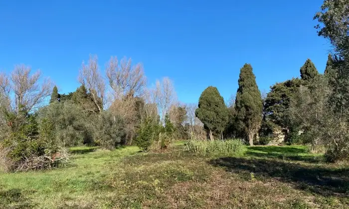 Rexer-Rosignano-Marittimo-Casalecascina-in-vendita-in-Via-del-Mondiglio-Poggi-PaoliPescine-Rosignano-Marittimo-Altro