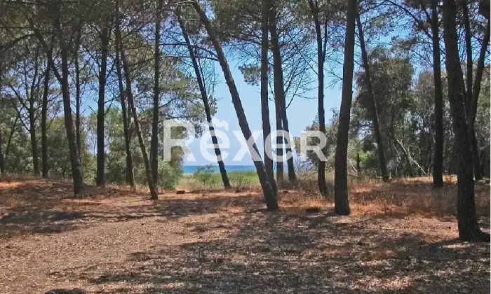 Rexer-Cropani-Marina-Complesso-agrituristico-su-ettari-immerso-nel-verde-Altro