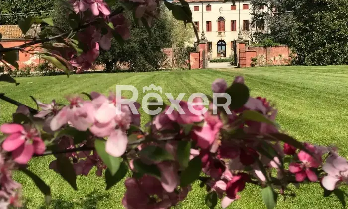 Rexer-San-Pietro-In-Gu-Prestigiosa-villa-veneta-storica-con-parco-di-ettari-Villa-Zilio-Altro