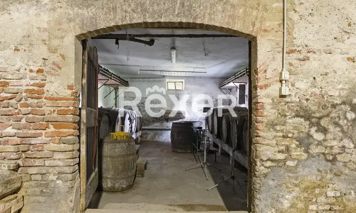 Rexer-San-Pietro-In-Gu-Prestigiosa-villa-veneta-storica-con-parco-di-ettari-Villa-Zilio-Altro