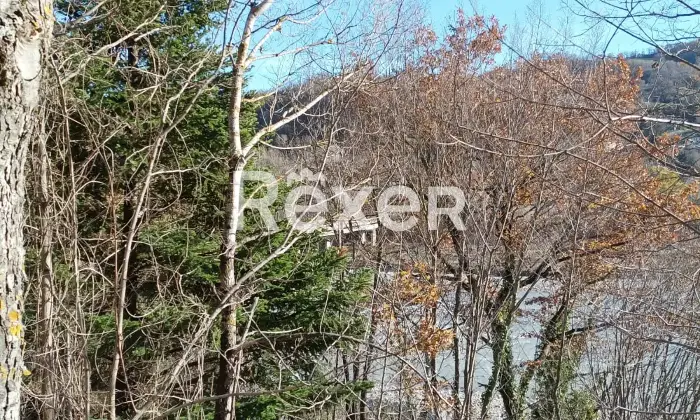 Rexer-Badia-Tedalda-Porzione-di-bifamiliare-con-vista-sul-fiume-Marecchia-e-mq-circa-di-bosco-Localit-Cantoni-Badia-Tedalda-Altro