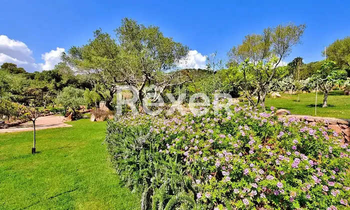 Rexer-Porto-Istana-Villa-in-vendita-a-Porto-Istana-Olbia-Via-Punzutu-Altro