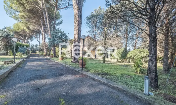 Rexer-Zagarolo-Villa-di-pregio-su-tre-livelli-con-piscina-e-terreno-Altro