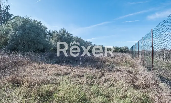 Rexer-Zagarolo-Villa-di-pregio-su-tre-livelli-con-piscina-e-terreno-Altro