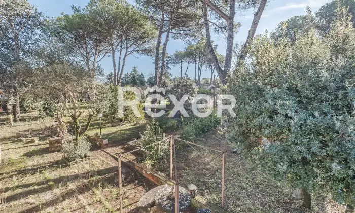Rexer-Zagarolo-Villa-di-pregio-su-tre-livelli-con-piscina-e-terreno-Altro