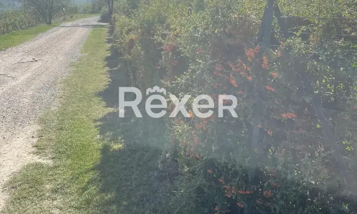 Rexer-Ca-Albertinipizzofreddo-Villetta-indipendente-Santa-Maria-della-Versa-Localit-Ca-Bardone-Altro
