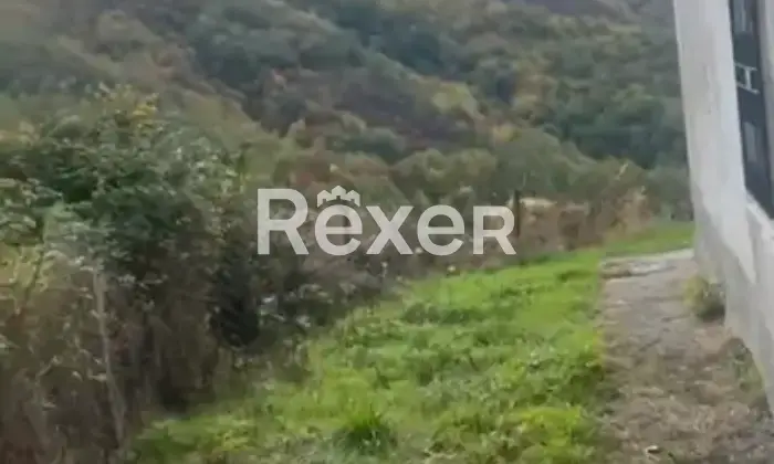 Rexer-Prastio-Casa-indipendente-su-unico-livello-con-garage-cantina-e-forno-a-legna-Prastio-Viggianello-Altro