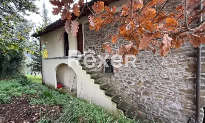 Rexer-Vinci-Casa-rustica-immersa-nel-bosco-su-due-livelli-Altro