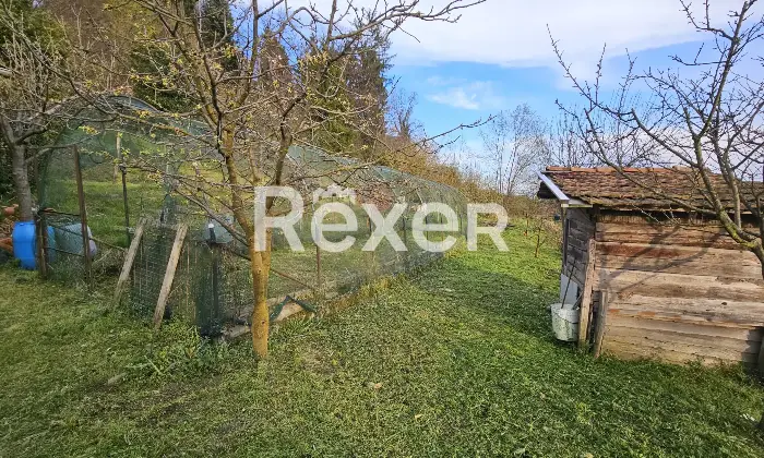 Rexer-Valdengo-Casa-di-fine-schiera-con-ampio-box-e-terreno-Terrazzo