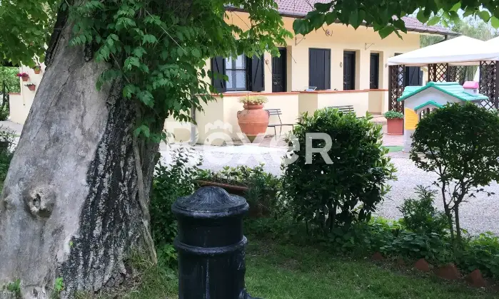 Rexer-Sabaudia-Agriturismo-con-piscina-e-bellissimo-giardino-Giardino