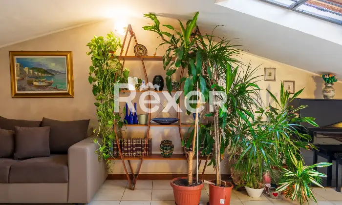 Rexer-Cerro-Maggiore-Villetta-bifamiliare-Altro