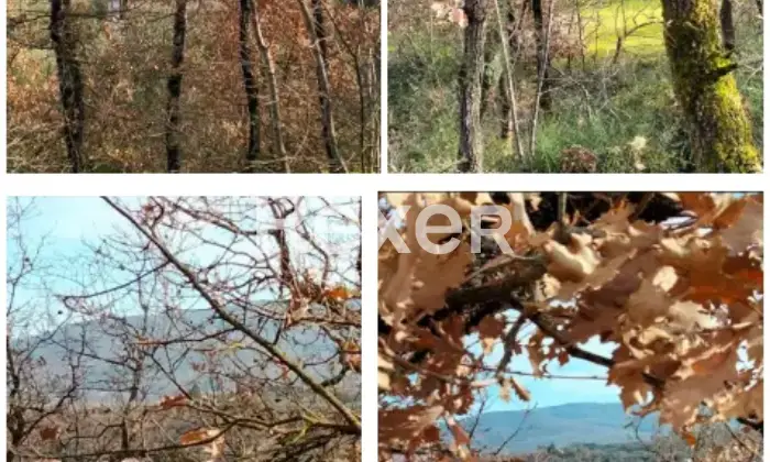 Rexer-La-Pevole-Casale-in-vendita-in-Vocabolo-Maeselle-a-Piegaro-Altro