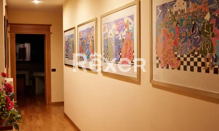 Rexer-TORRE-SAN-PATRIZIO-Splendida-villa-indipendente-con-piscina-uliveto-e-ampio-terreno-privato-a-Torre-San-Patrizio-Altro
