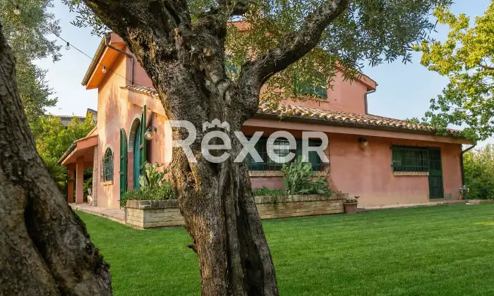 Rexer-TORRE-SAN-PATRIZIO-Splendida-villa-indipendente-con-piscina-uliveto-e-ampio-terreno-privato-a-Torre-San-Patrizio-Altro