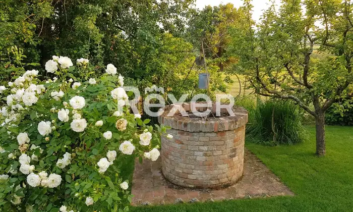 Rexer-TORRE-SAN-PATRIZIO-Splendida-villa-indipendente-con-piscina-uliveto-e-ampio-terreno-privato-a-Torre-San-Patrizio-Altro