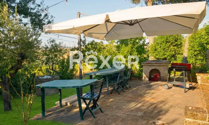Rexer-TORRE-SAN-PATRIZIO-Splendida-villa-indipendente-con-piscina-uliveto-e-ampio-terreno-privato-a-Torre-San-Patrizio-Altro