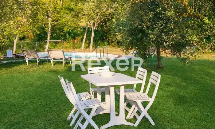 Rexer-TORRE-SAN-PATRIZIO-Splendida-villa-indipendente-con-piscina-uliveto-e-ampio-terreno-privato-a-Torre-San-Patrizio-Altro