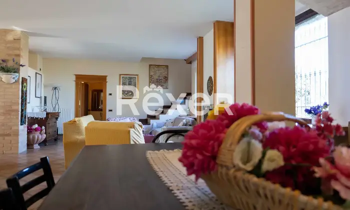 Rexer-TORRE-SAN-PATRIZIO-Splendida-villa-indipendente-con-piscina-uliveto-e-ampio-terreno-privato-a-Torre-San-Patrizio-Altro