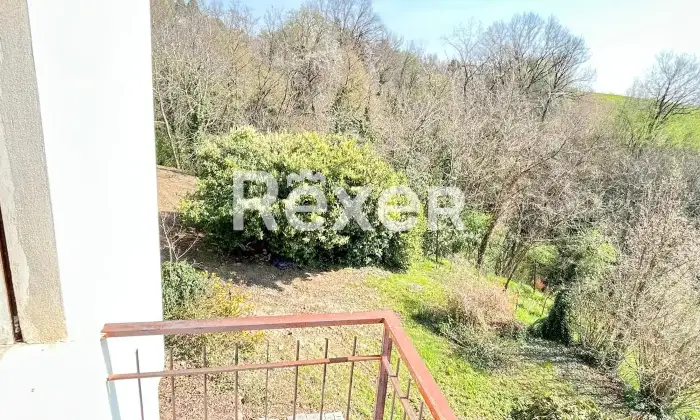 Rexer-Susegana-Compendio-immobiliare-con-grande-giardino-e-fabbricato-indipendente-valorizzabile-Altro