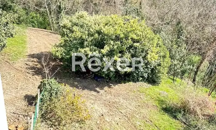 Rexer-Susegana-Compendio-immobiliare-con-grande-giardino-e-fabbricato-indipendente-valorizzabile-Altro