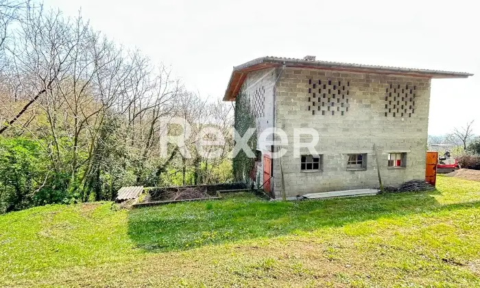 Rexer-Susegana-Compendio-immobiliare-con-grande-giardino-e-fabbricato-indipendente-valorizzabile-Altro