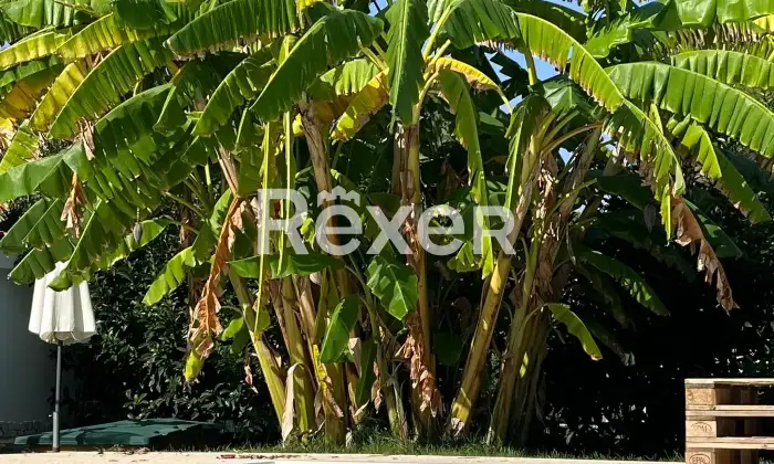 Rexer-Palagiano-Elegante-villa-con-piscina-finemente-arredata-a-mt-dalla-spiaggia-Altro