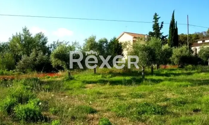 Rexer-Calvi-dellUmbria-Terreno-edificabile-in-vendita-a-Calvi-dellUmbria-frazione-Poggiolo-Vista