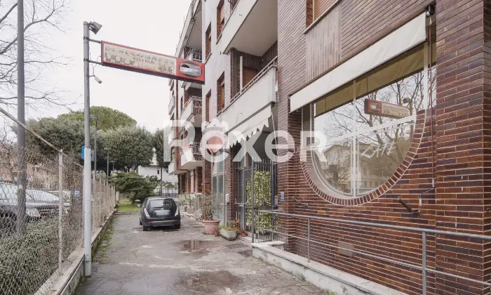 Rexer-Terra-del-Sole-Spazio-polifunzionale-in-pieno-centro-Altro