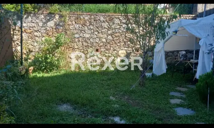 Rexer-Camaiore-Tra-mare-e-collina-terratetto-luminoso-con-giardino-privato-Giardino